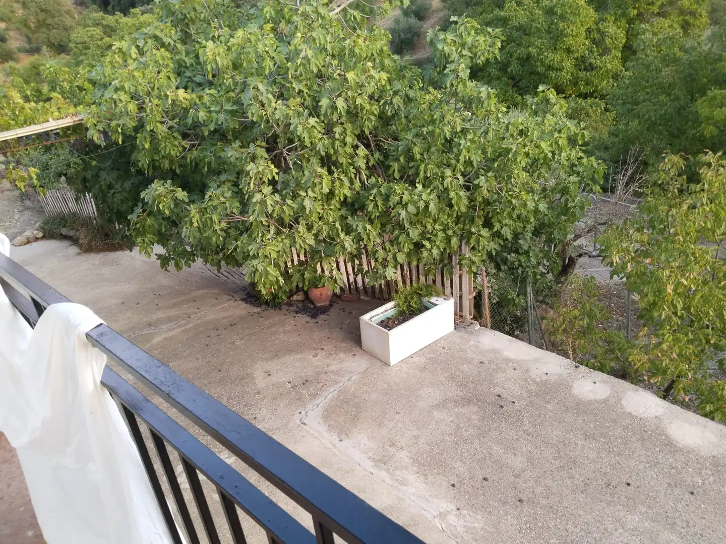 Casa rústica amb terrassa en venda a La Iruela, imagen 18