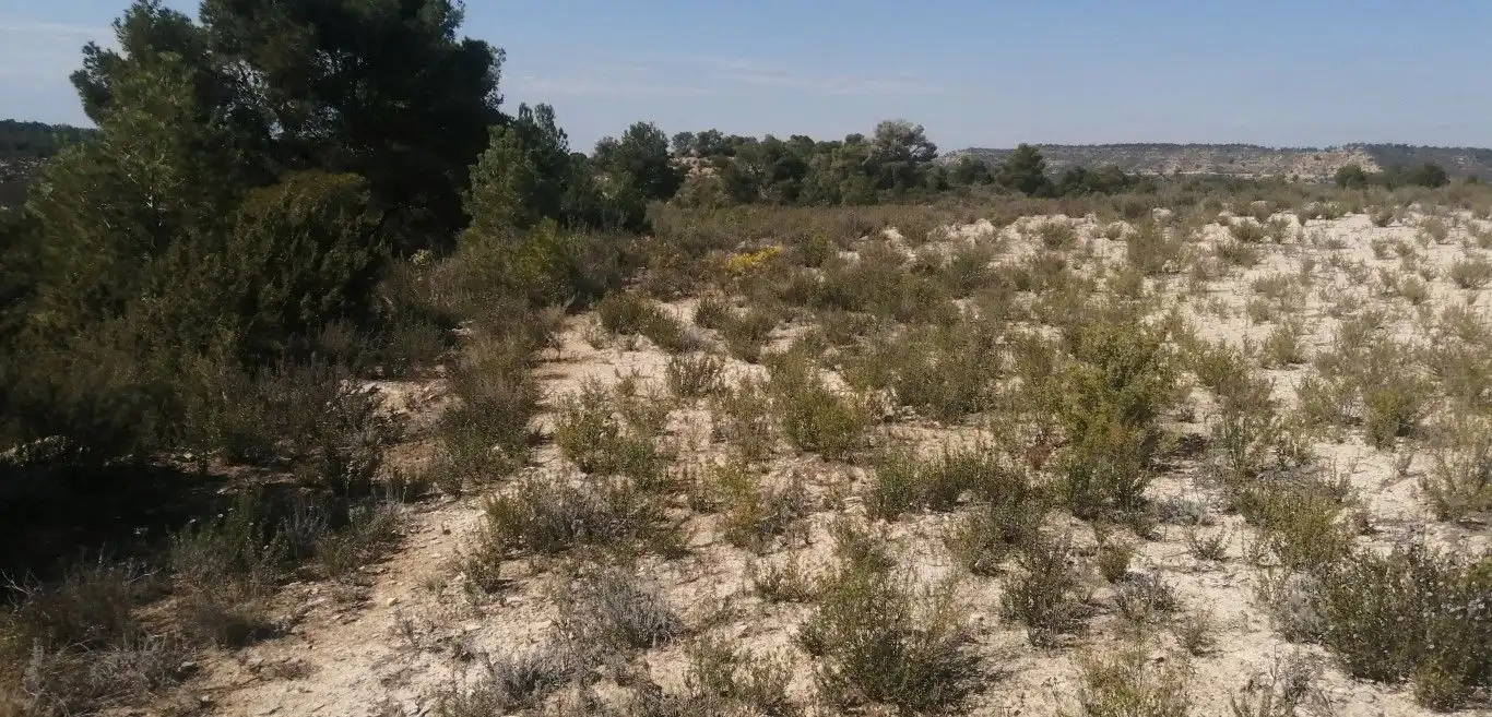 Terreno rústico en venta en Avinguda Terra Alta, imagen 3
