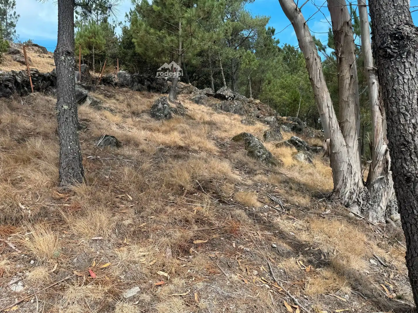 Casa o xalet en venda en Covelo