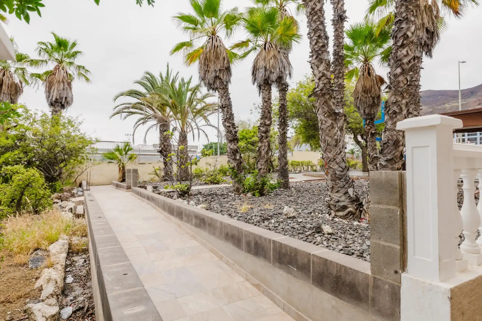 Terrassa de Oficina de lloguer en Las Palmas de Gran Canaria