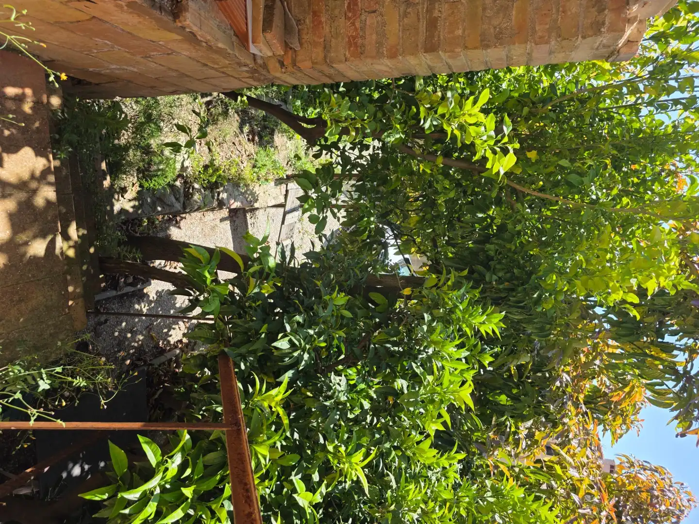 Garden of Detached homes for sale in Darnius  with Heating, Terrace and Storage room