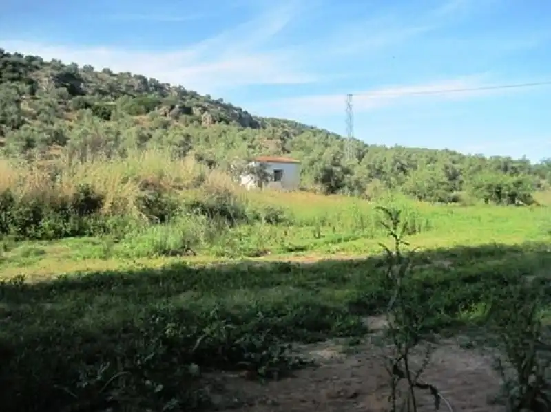 Terreni e lotti in vendita a Navas de San Juan, imagen 3