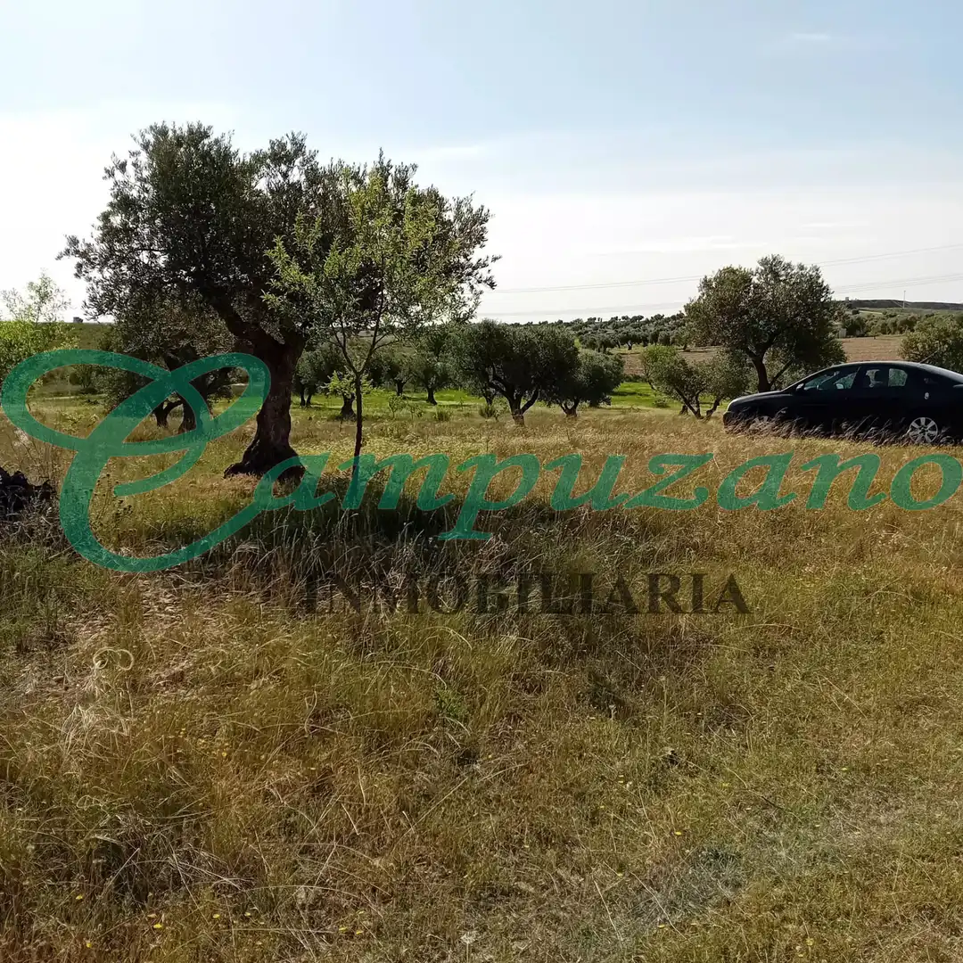 Land for sale in Chinchón
