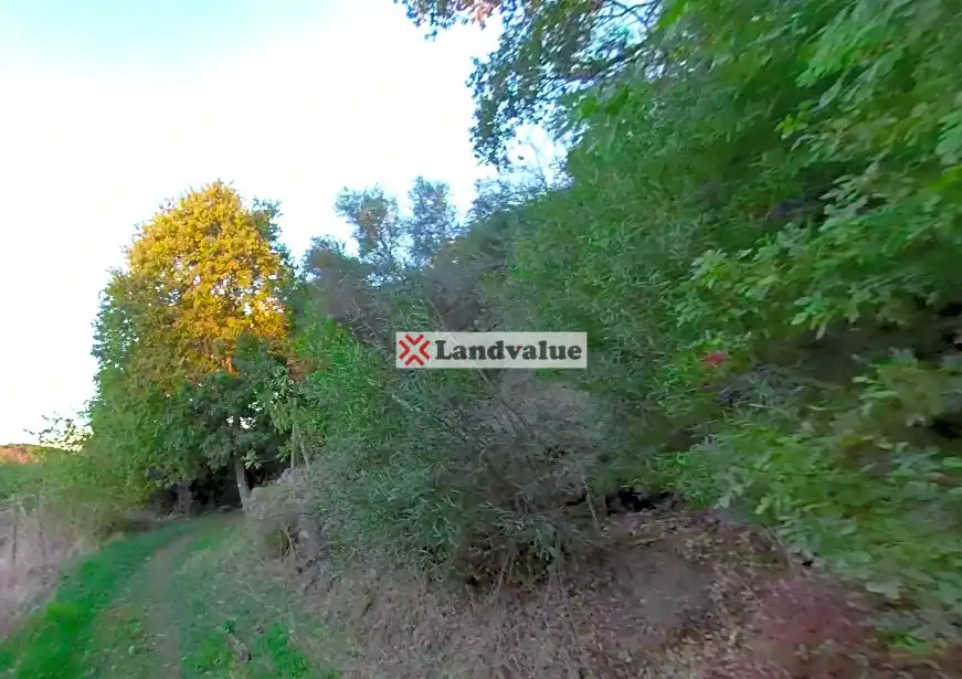 Terreni e lotti in vendita a Candeleda, imagen 4