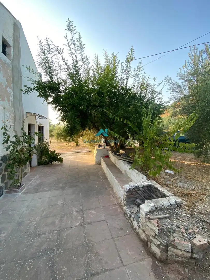 Vista exterior de Casa o xalet en venda en Alcaudete amb Jardí privat, Traster i Piscina