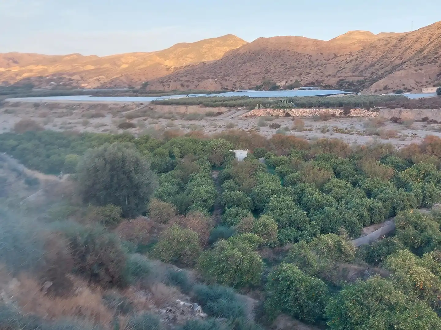 Terreno rustico in vendita a Alhabia, imagen 2
