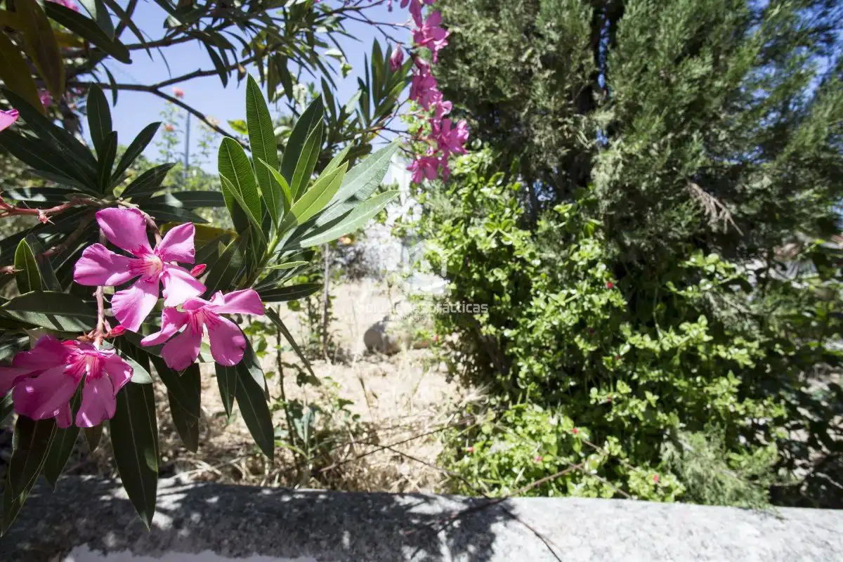 Villa con terrazza in vendita a Fuerte del Rey, imagen 46