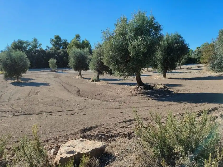Country homes for sale in Cretas
