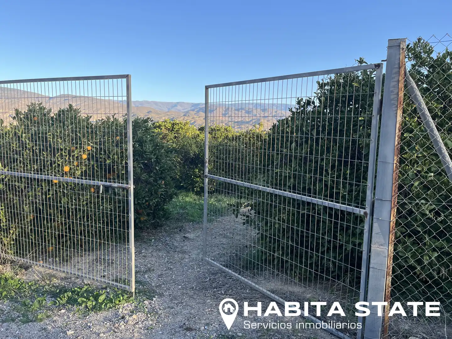 Vista exterior de Terreno en venta en Íllar