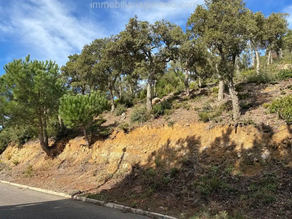 Terreno residencial en venta en Calle Pollancre