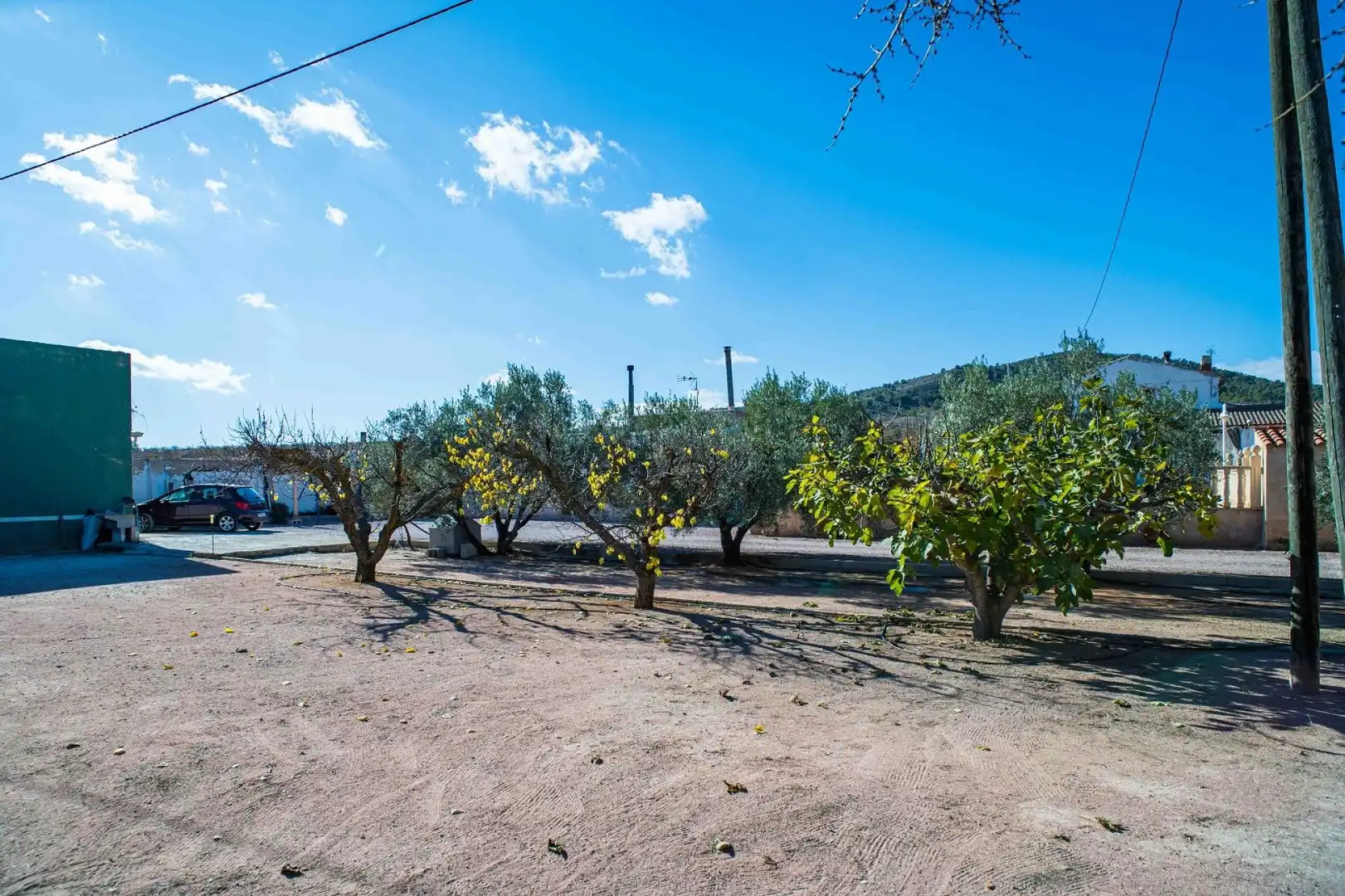 Casa rustica in vendita a Yecla, imagen 16