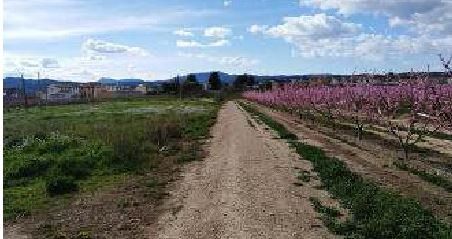 Residential for sale in Benissanet