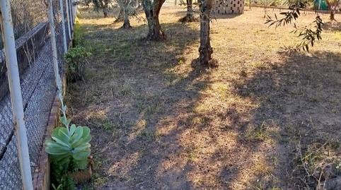 Photo 4 of Land for sale in Plaça Poligono 20, 59, Cariñena - Carinyena, Castellón