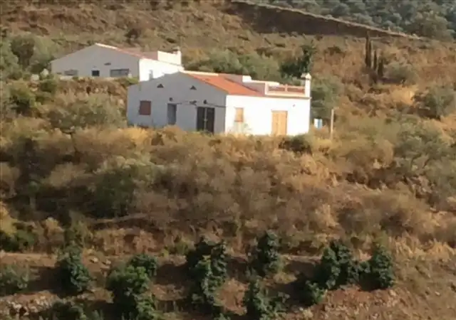 Vista exterior de Finca rústica en venta en Cómpeta