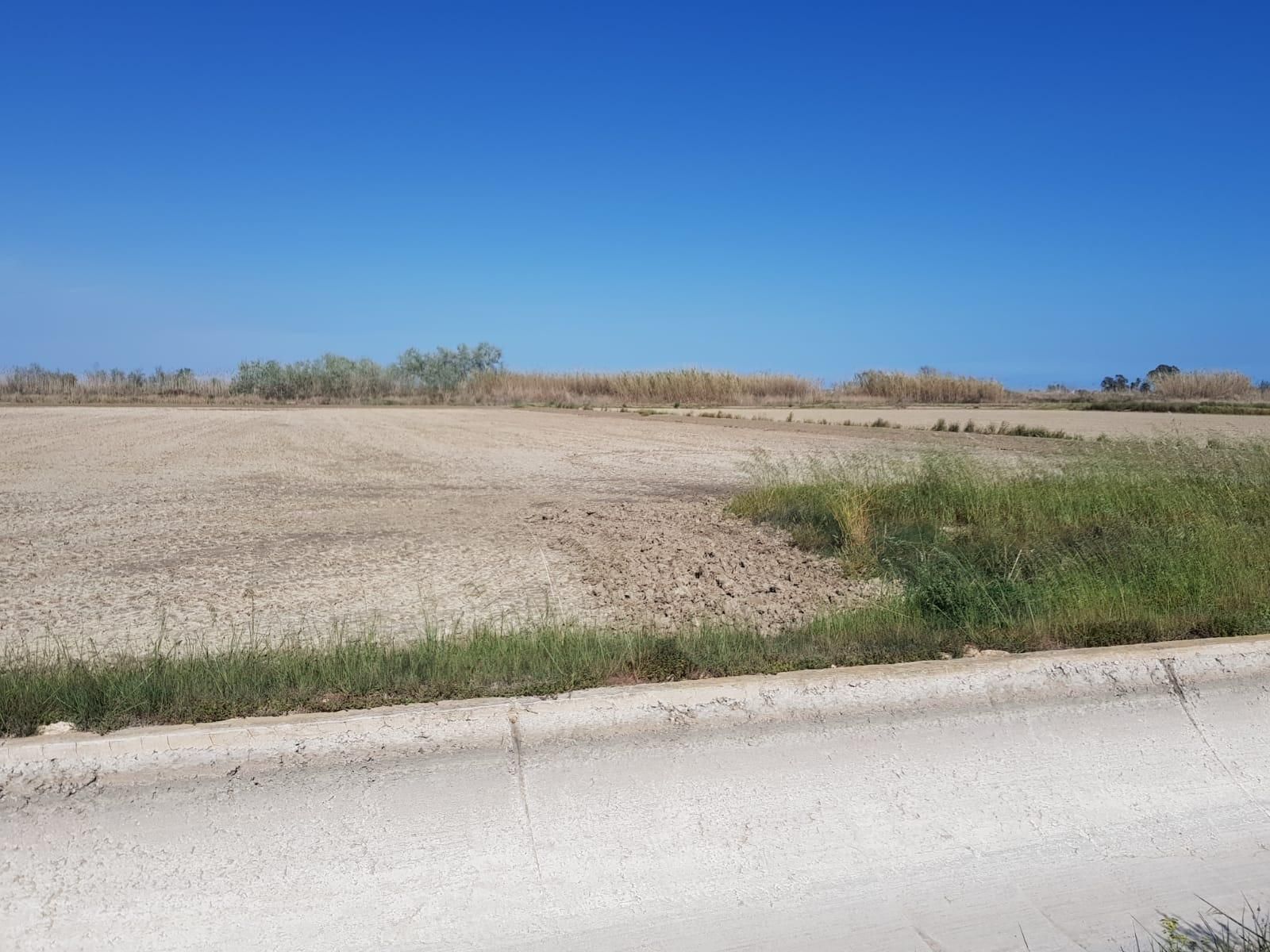 Country house for sale in Sant Carles de la Ràpita