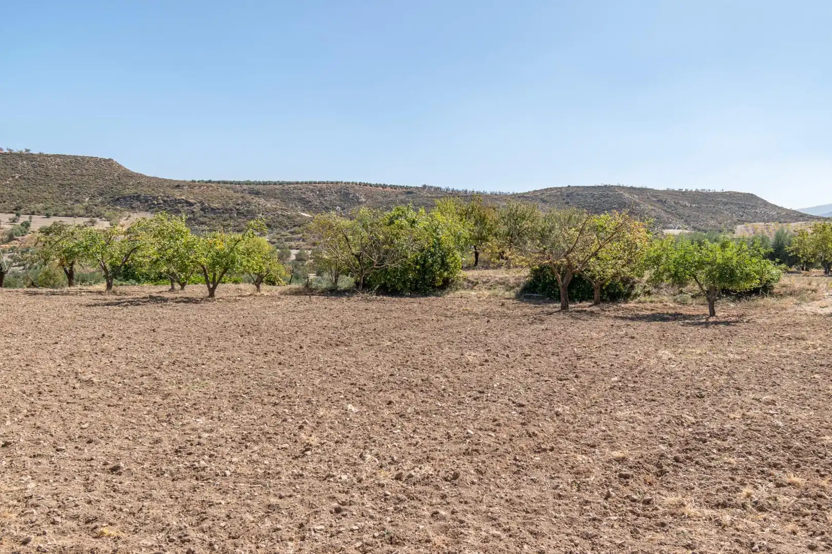 Finca rústica en venta en Vereda morollon, La Peza