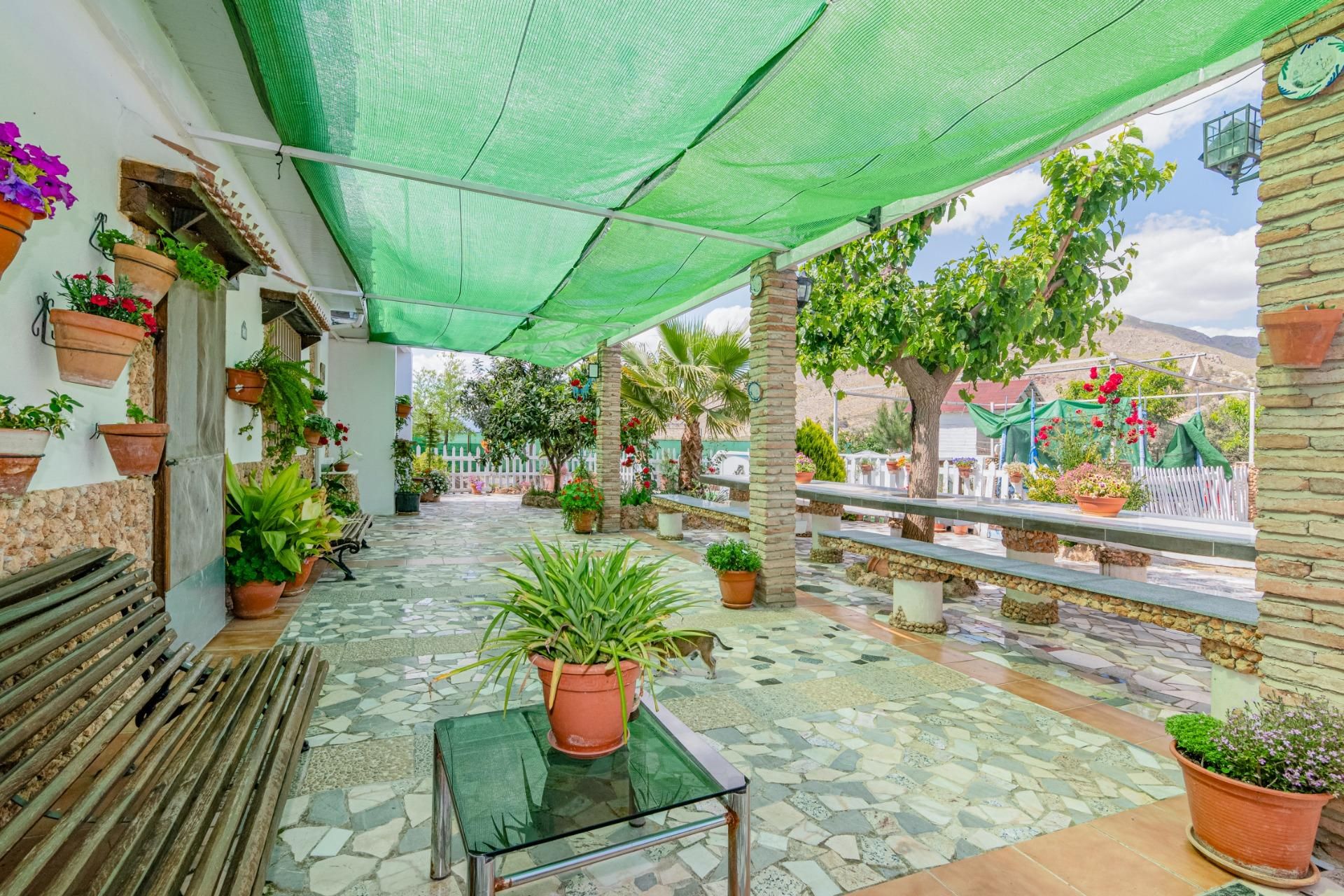 Vista exterior de Finca rústica en venta en Pinos Puente con Jardín privado, Terraza y Trastero