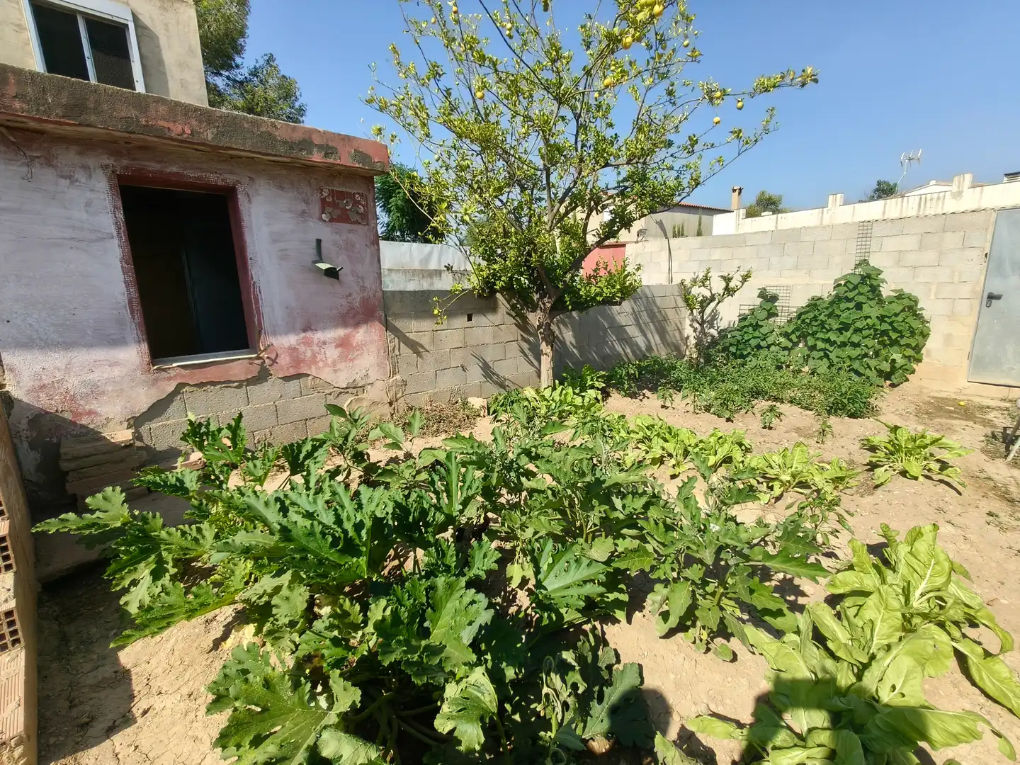 Casa o chalet en venta en Montroi / Montroy con Jardín privado, Terraza y Trastero