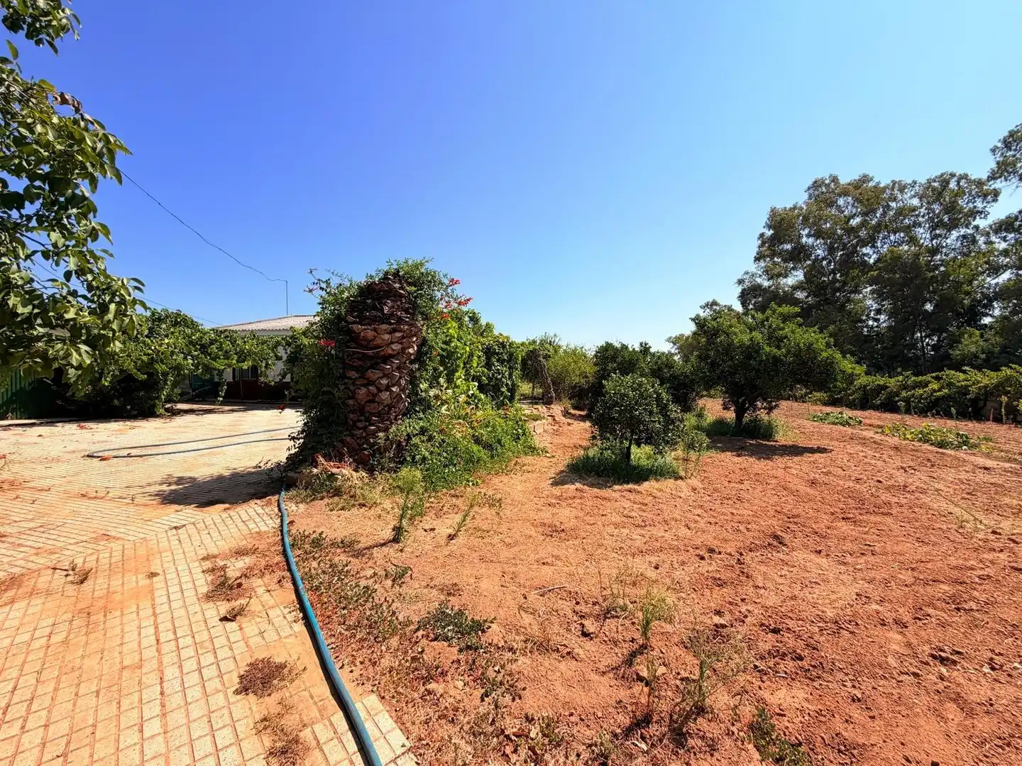 Casa o chalet en venta en Valverde de Mérida con Jardín privado, Terraza y Trastero