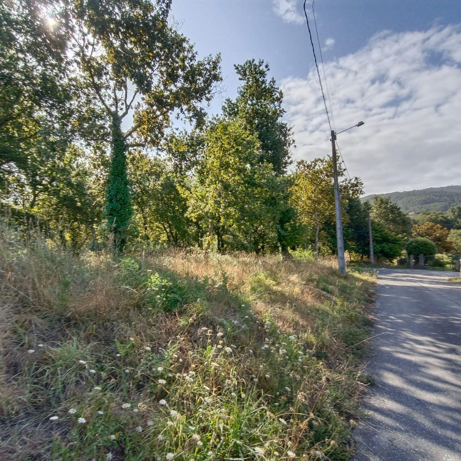 Residential for sale in Barro