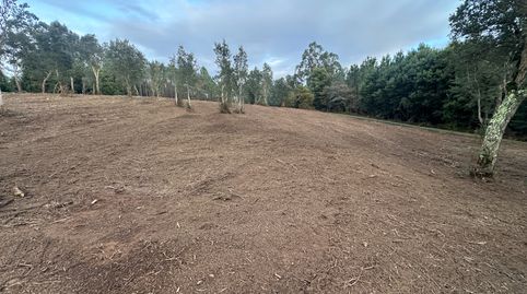 alquilo gran terreno soleado, immagine 2