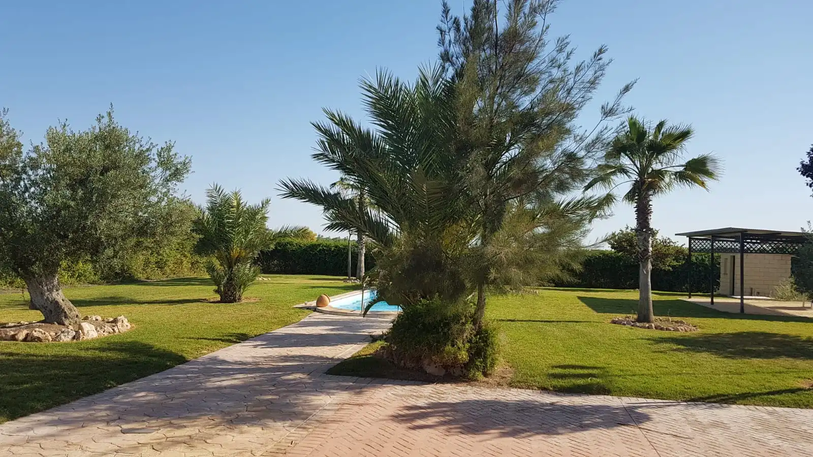Terreno rustico in vendita a Carretera Ecija, imagen 9