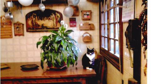 Foto 5 de Casa o xalet en venda a Txalin Bidea, Igeldo, Gipuzkoa