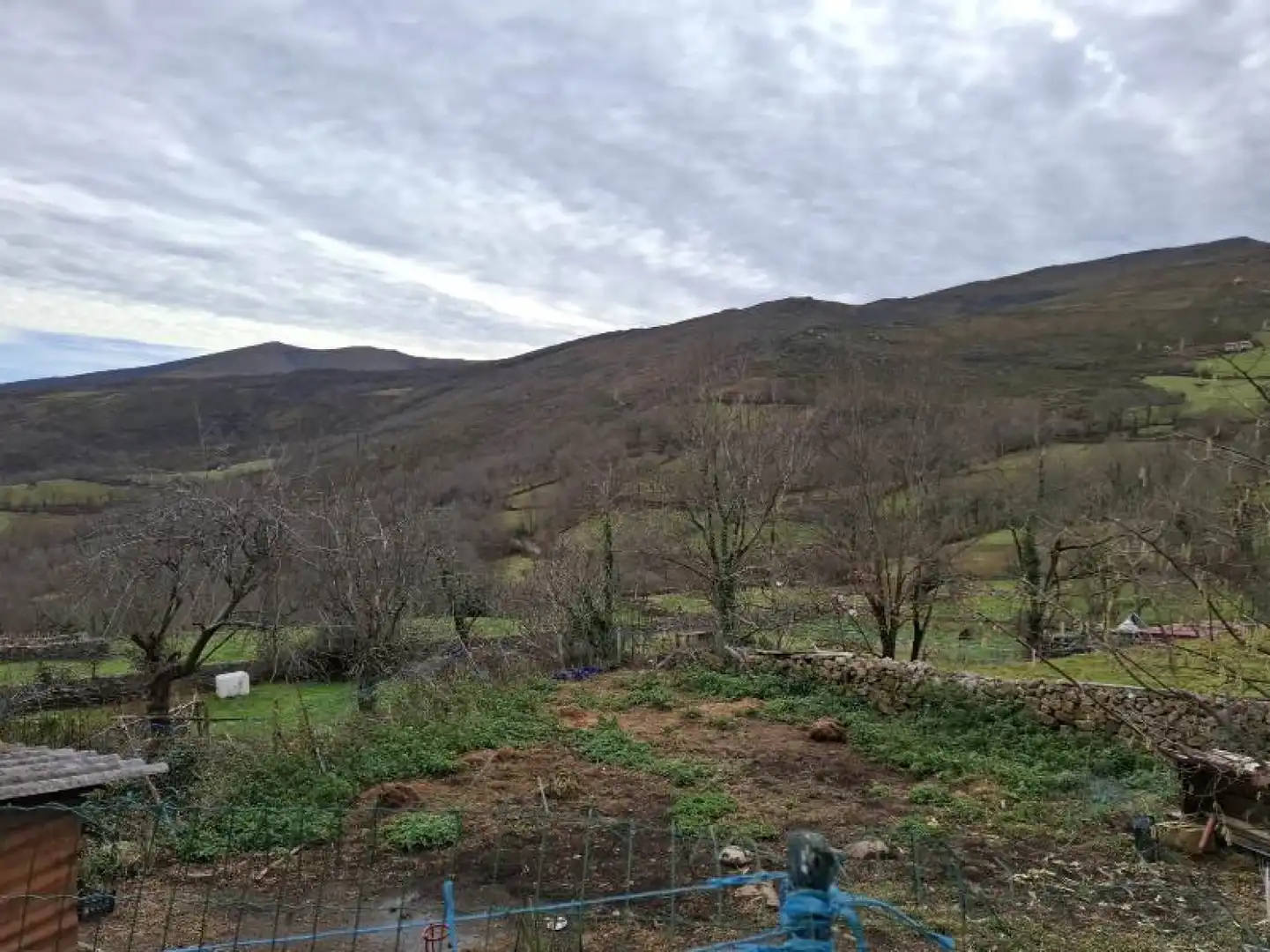Casa o chalet en venta en Los Tojos 