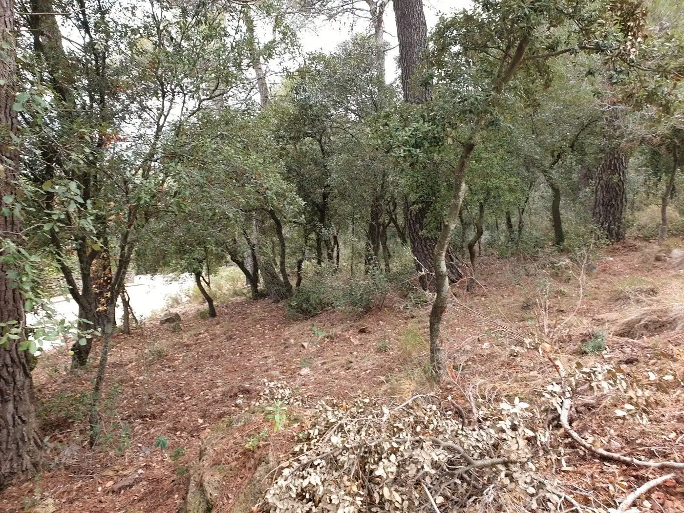 Terrain résidentiel à vendre à Matadepera, imagen 17
