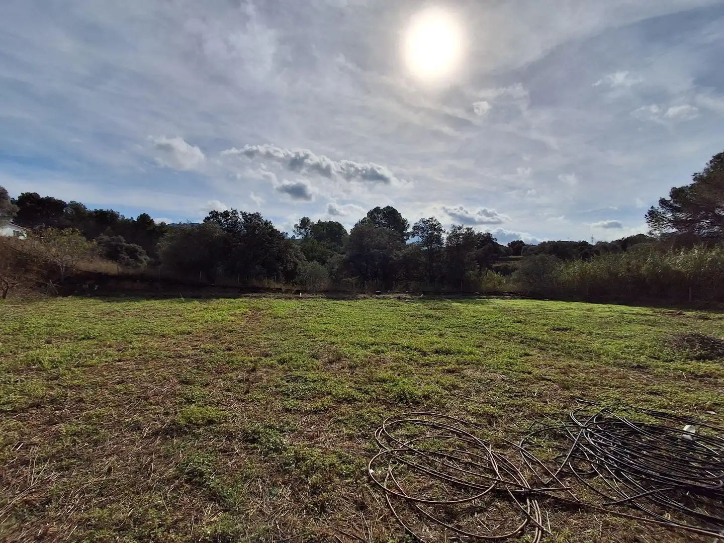 Rural land for sale in Ginestar, imagen 48