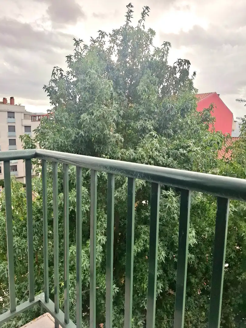 Pis amb terrassa en venda a Avenida de Ramón Nieto, imagen 4