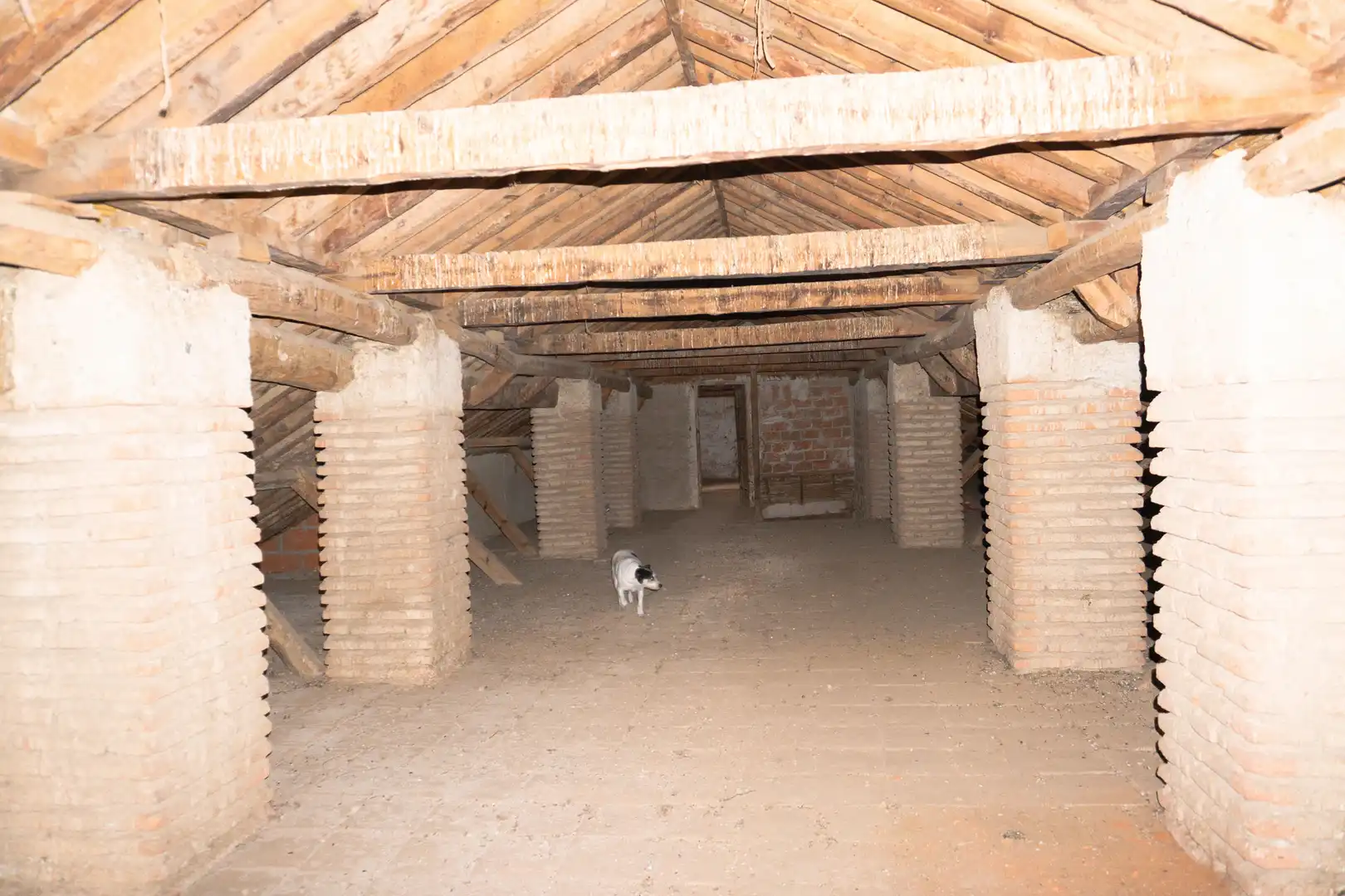 Finca rústica en venda a Fiñana