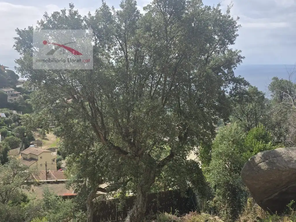Terreno residencial en venta en Carrer Àligues 42, imagen 6