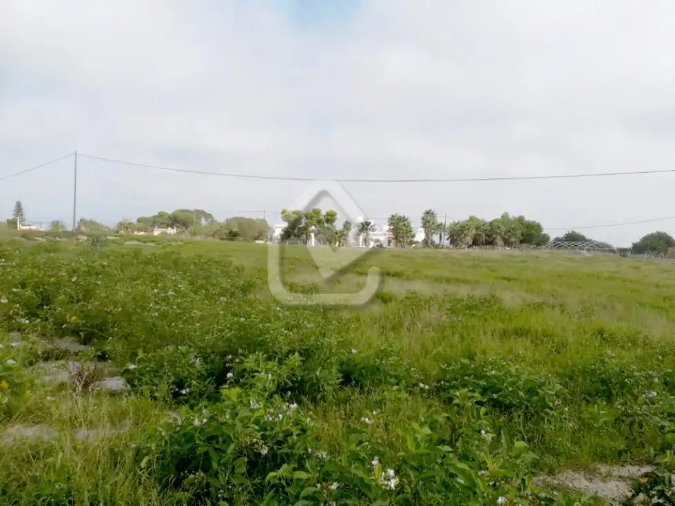 Casa o chalet en venta en La Pedrera - Vessanes