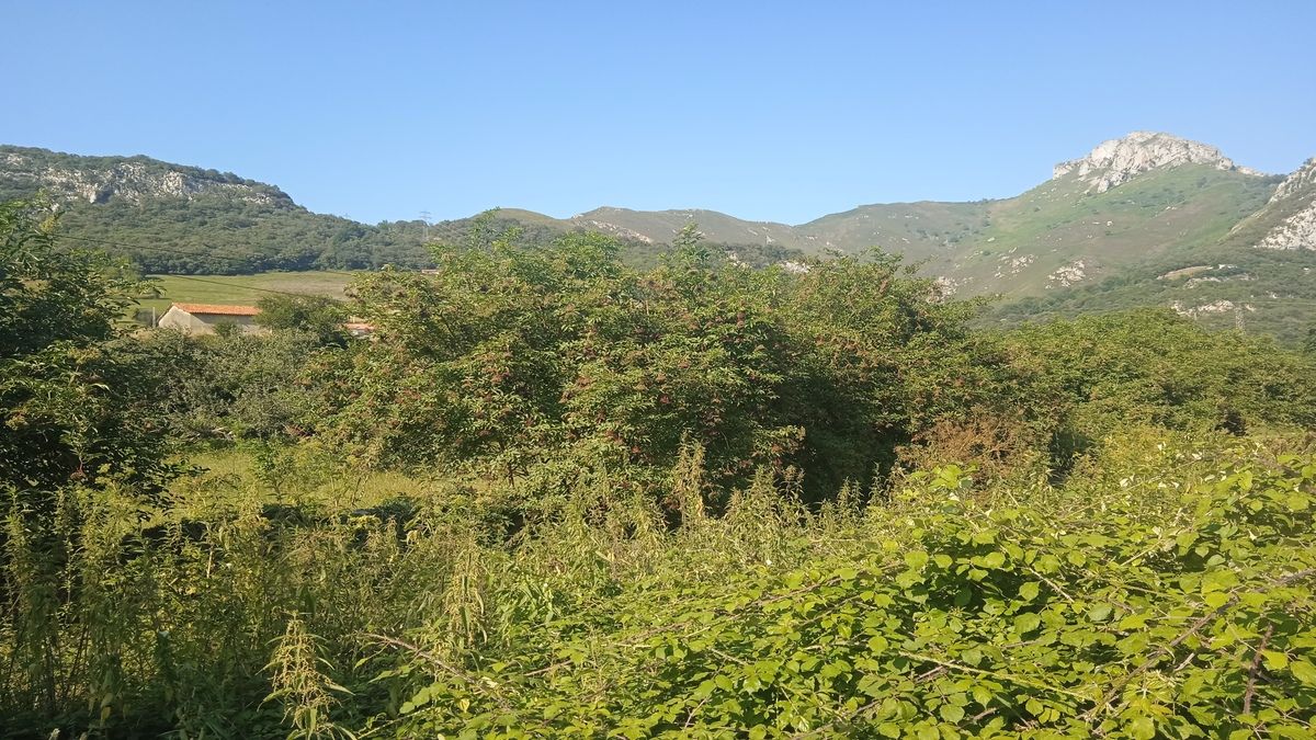 Residencial en venda en Cabrales