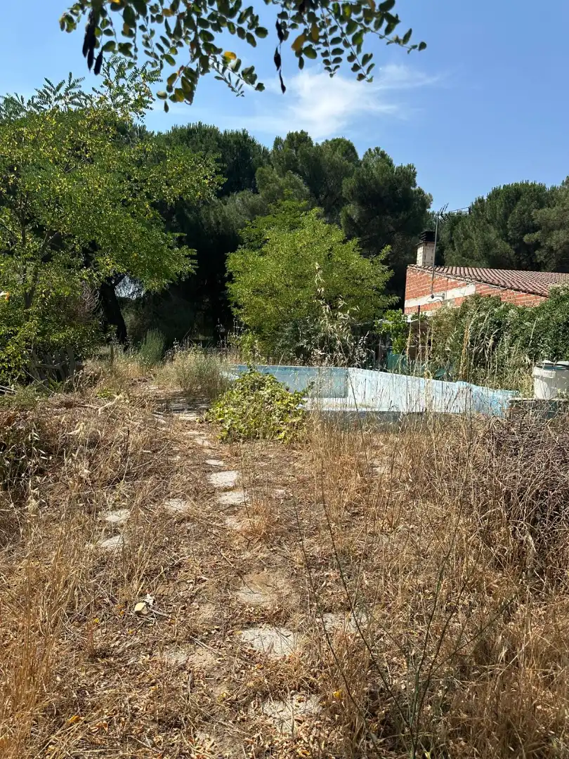 Finca rústica en venda en Traspinedo amb Jardí privat i Piscina