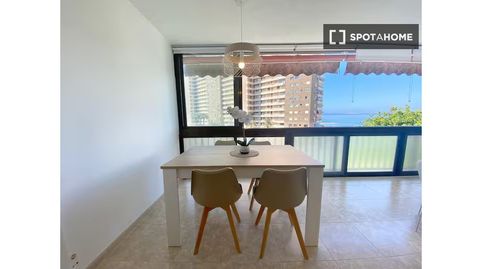 Foto 4 de Habitació a Cabo de las Huertas, Alicante / Alacant