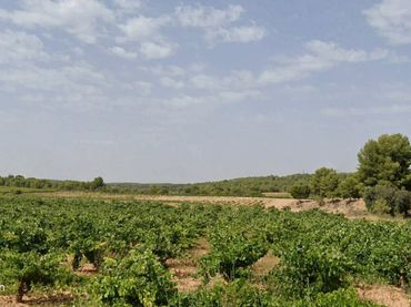 Rustikales Grundstück zum Verkauf in Venta del Moro