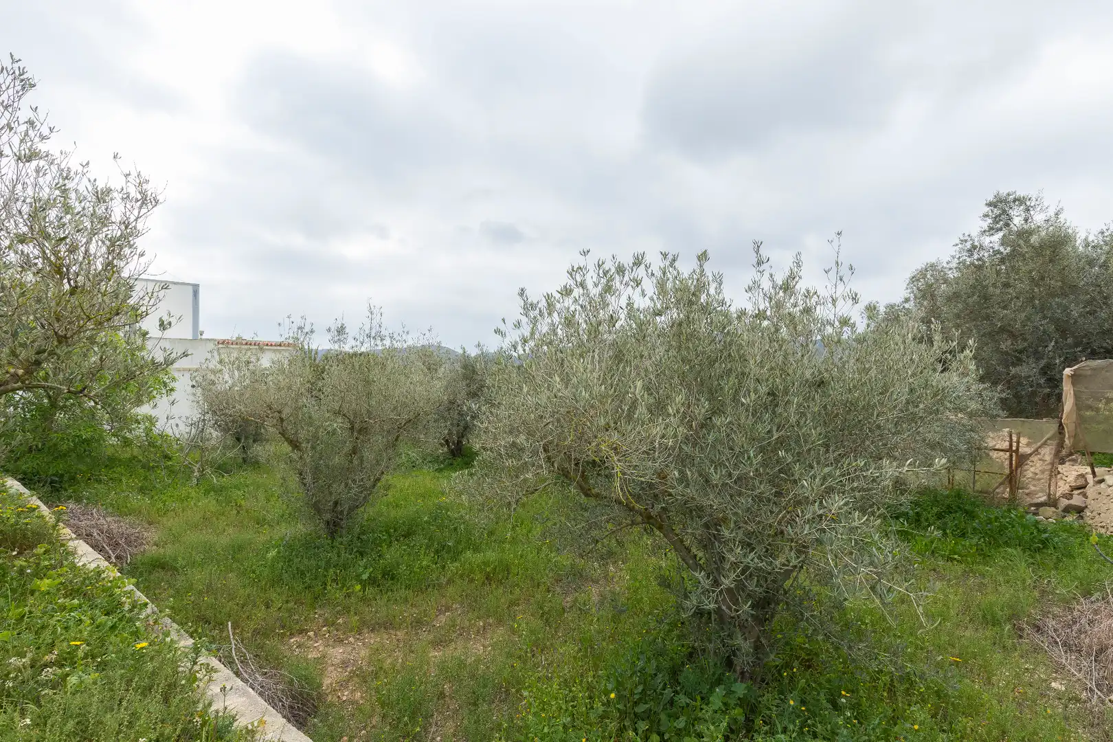 Casa o chalet en venta en Níjar con Terraza y Amueblado