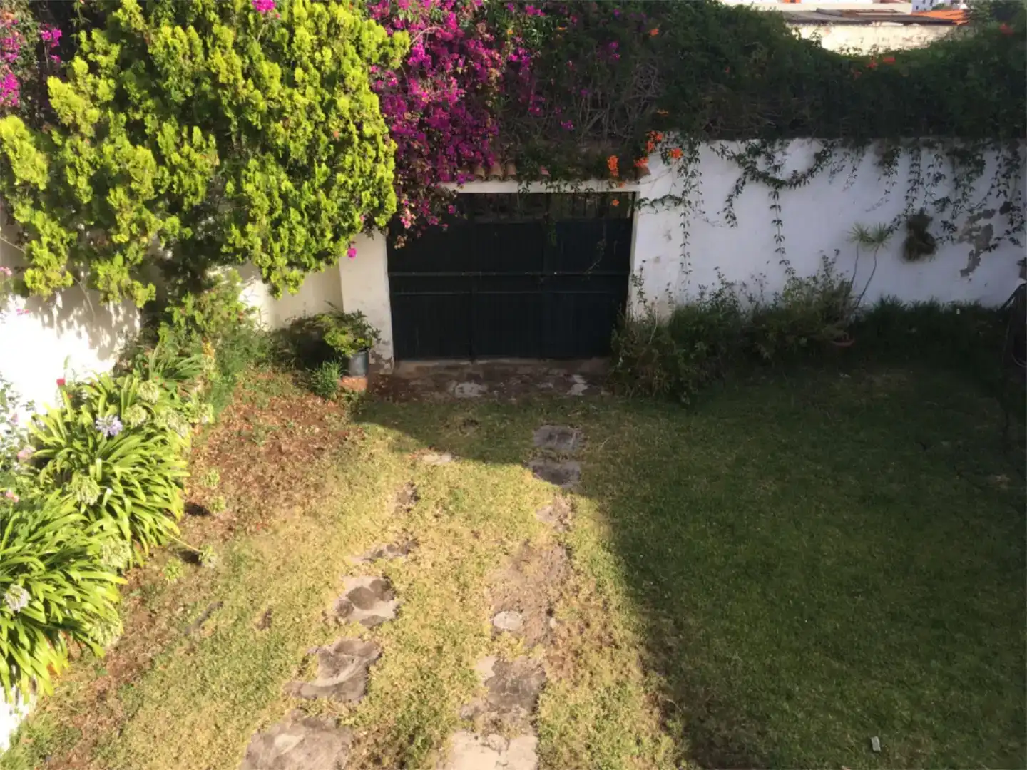Garden of Houses for sale in Tacoronte - Los Naranjeros