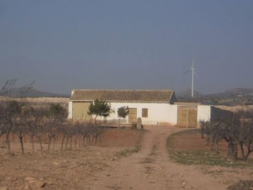Terreni e lotti in vendita a Jumilla