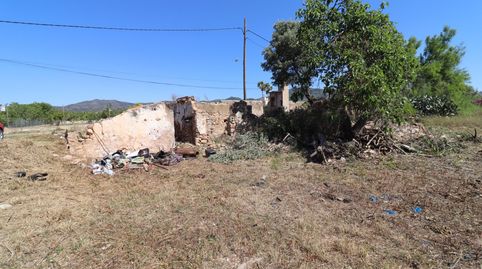 Prat en Camí Virol, immagine 2