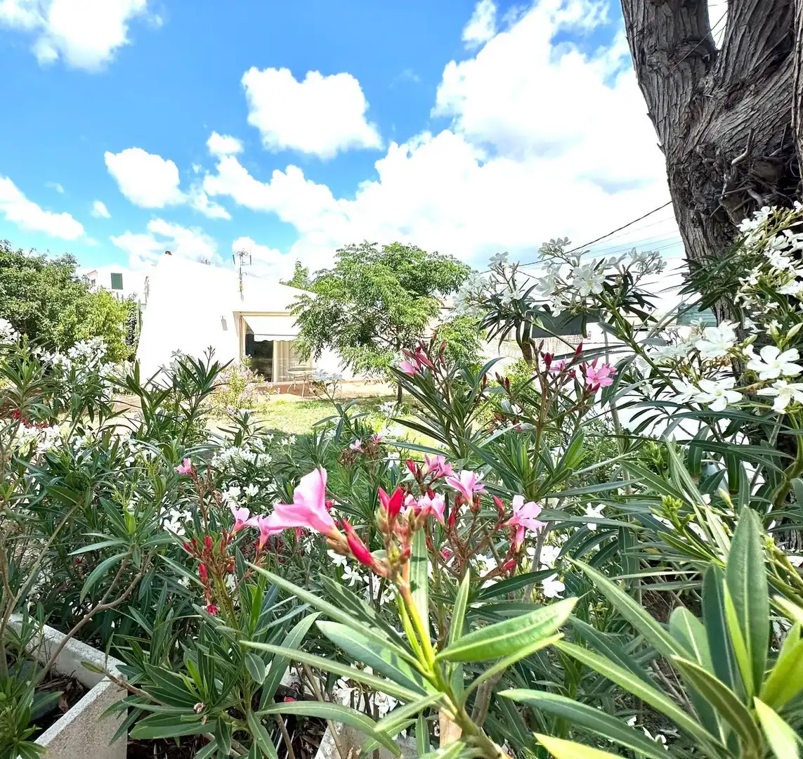 Villa avec piscine à vendre à Son Vilar - Trepucó, imagen 39