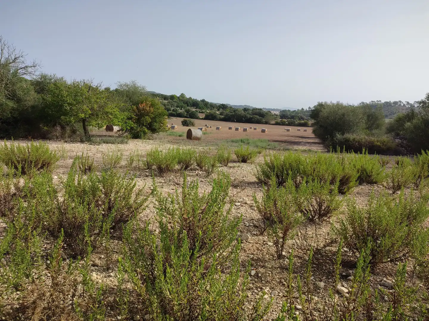 Terreny residencial en venda a Sant Joan, imagen 20