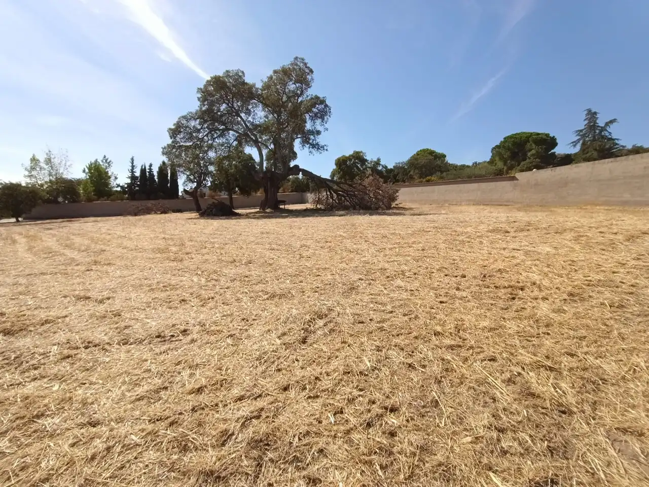 Terreny industrial en venda en Sierra de Fuentes, Cáceres