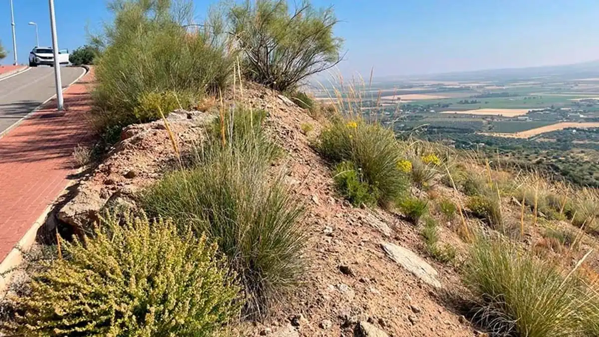 Lands and plots for sale in Bobadilla - Bobadilla Estación - La Joya, imagen 6