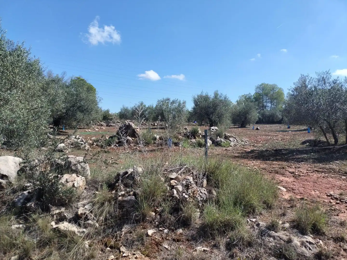 Rustikales Grundstück zum Verkauf in Xàtiva, imagen 5
