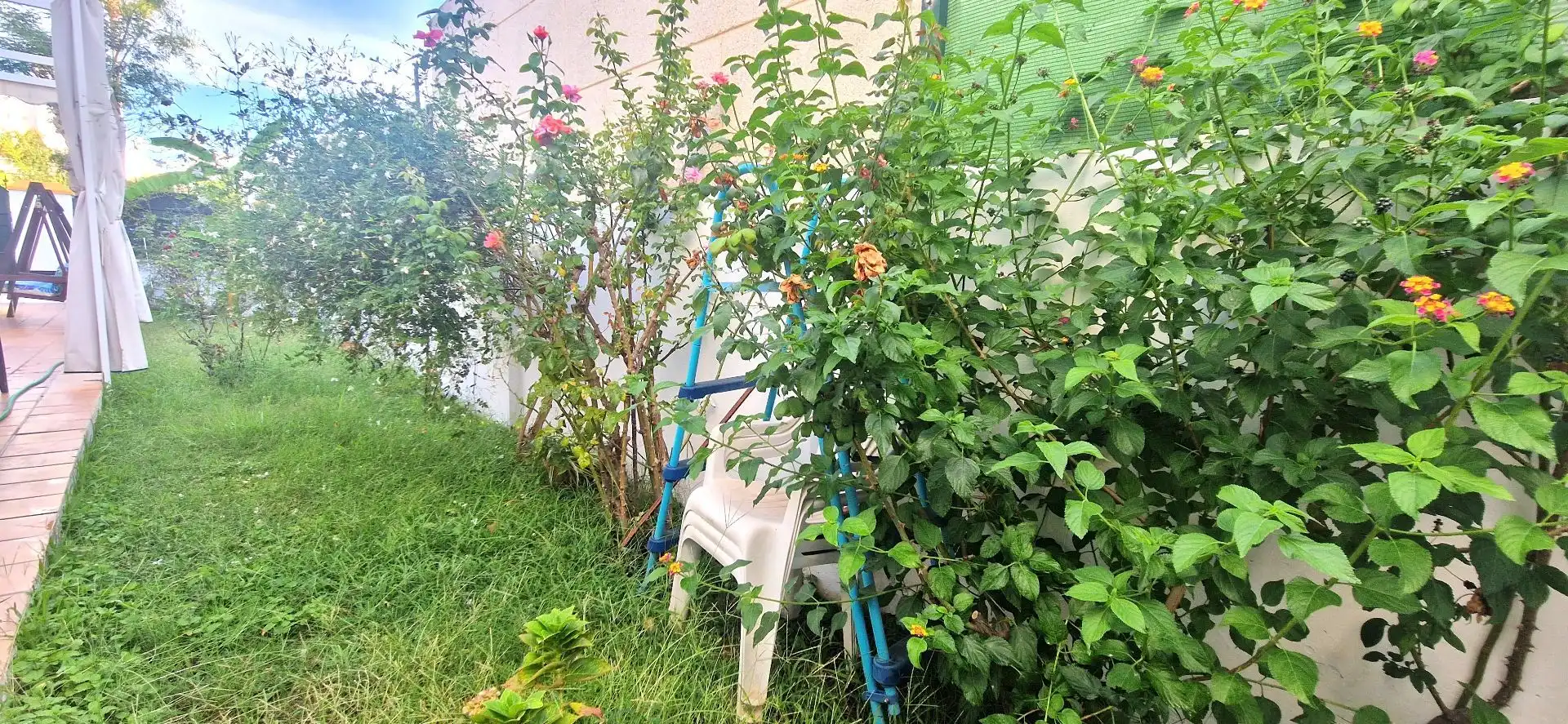 Jardí de Casa o xalet en venda en El Portil amb Aire condicionat, Calefacció i Jardí privat