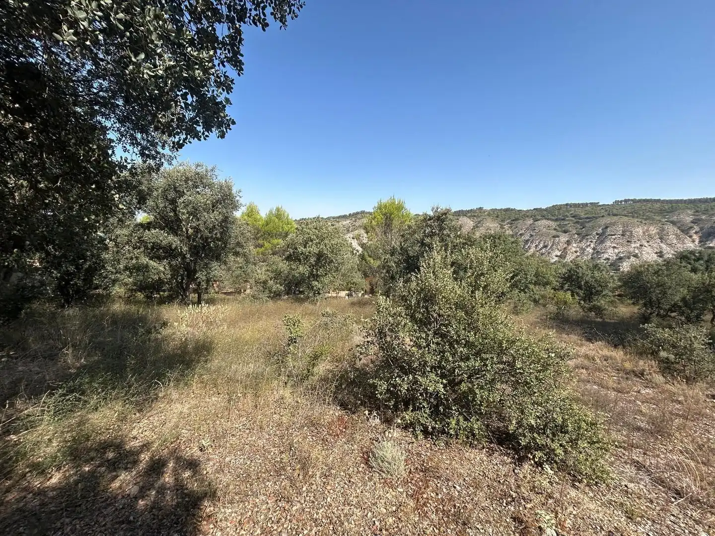 Terrenos y solares en venta en Hontoba, imagen 6