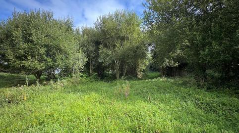 Foto 4 de Finca rústica en venda a Barrio Gajano-piñiro, Marina de Cudeyo, Cantabria
